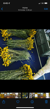 Load image into Gallery viewer, 1/2 size box of billy buttons (very limited availability)