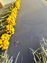 Load image into Gallery viewer, Limited availability - 2025 bunch of billy buttons!
