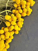 Load image into Gallery viewer, Limited availability - 2025 bunch of billy buttons!
