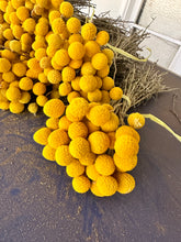 Load image into Gallery viewer, Limited availability - 2025 bunch of billy buttons!
